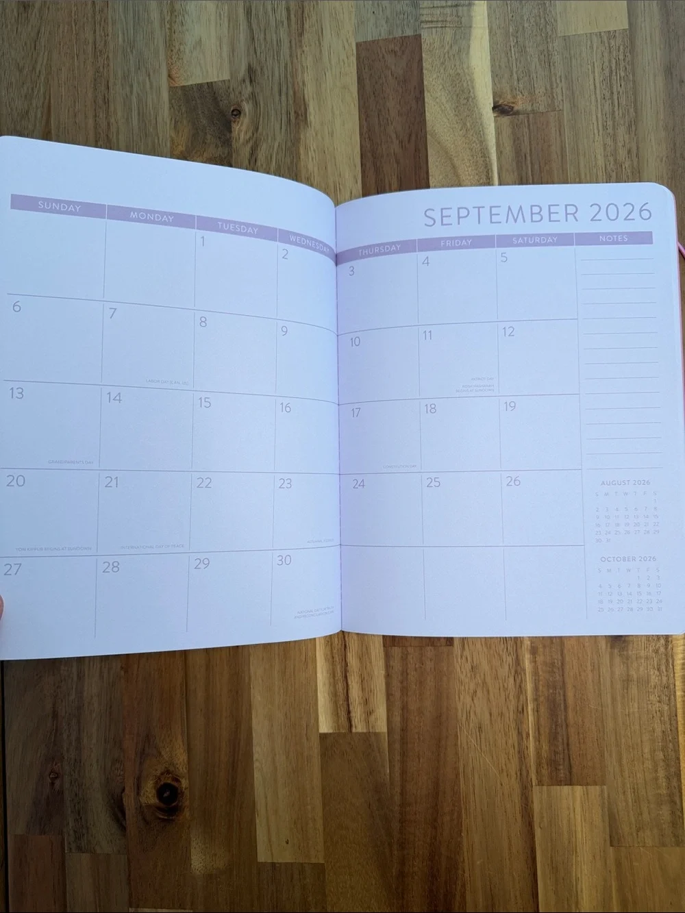 NWT Orange Circle Studio 17-Month Monthly Planner